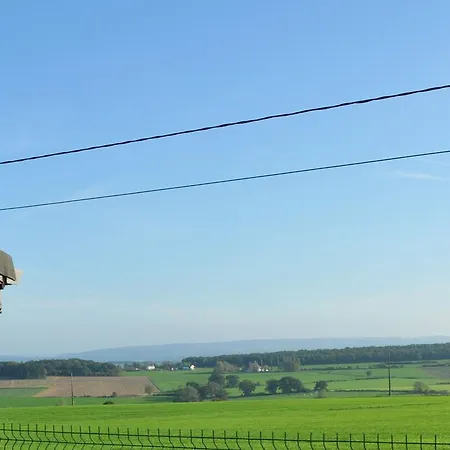 Arbre Dresse * Somme-Leuze