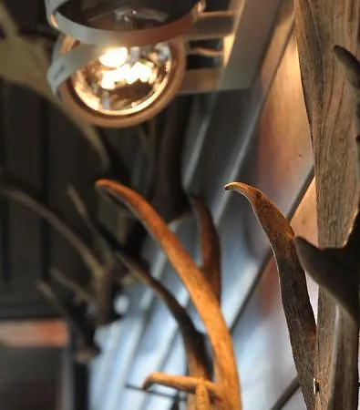 Arbre Dresse Tatil Evi